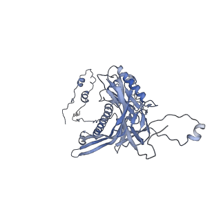 4655_6qvk_7U_v1-0
The cryo-EM structure of bacteriophage phi29 prohead