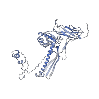 4655_6qvk_7V_v1-0
The cryo-EM structure of bacteriophage phi29 prohead