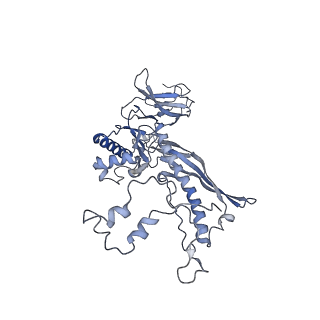 4655_6qvk_7W_v1-0
The cryo-EM structure of bacteriophage phi29 prohead