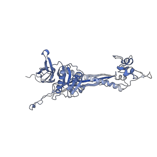 4655_6qvk_7X_v1-0
The cryo-EM structure of bacteriophage phi29 prohead