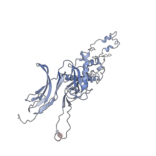4655_6qvk_7Y_v1-0
The cryo-EM structure of bacteriophage phi29 prohead