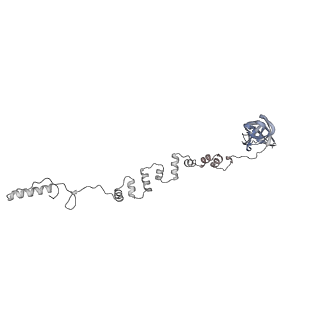 4655_6qvk_7Z_v1-0
The cryo-EM structure of bacteriophage phi29 prohead