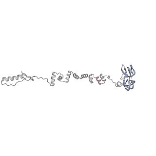 4655_6qvk_7a_v1-0
The cryo-EM structure of bacteriophage phi29 prohead
