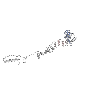 4655_6qvk_7c_v1-0
The cryo-EM structure of bacteriophage phi29 prohead