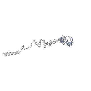 4655_6qvk_7d_v1-0
The cryo-EM structure of bacteriophage phi29 prohead