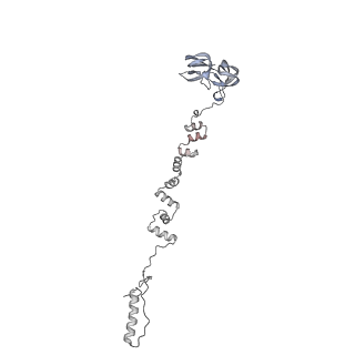 4655_6qvk_7f_v1-0
The cryo-EM structure of bacteriophage phi29 prohead