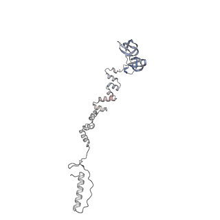 4655_6qvk_7g_v1-0
The cryo-EM structure of bacteriophage phi29 prohead