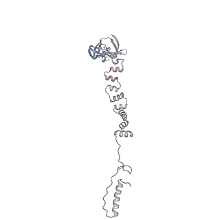 4655_6qvk_7h_v1-0
The cryo-EM structure of bacteriophage phi29 prohead