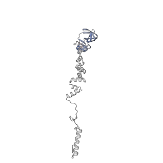 4655_6qvk_7i_v1-0
The cryo-EM structure of bacteriophage phi29 prohead