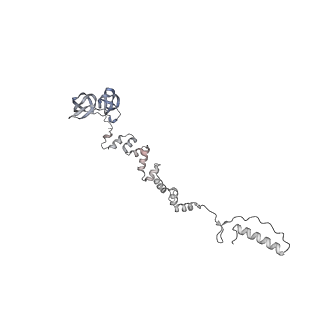 4655_6qvk_7l_v1-0
The cryo-EM structure of bacteriophage phi29 prohead