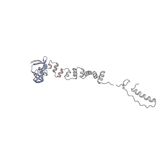 4655_6qvk_7m_v1-0
The cryo-EM structure of bacteriophage phi29 prohead