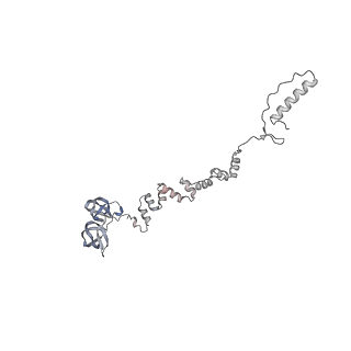 4655_6qvk_7q_v1-0
The cryo-EM structure of bacteriophage phi29 prohead