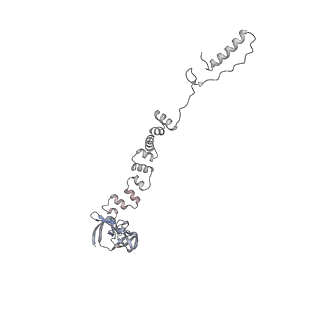 4655_6qvk_7r_v1-0
The cryo-EM structure of bacteriophage phi29 prohead
