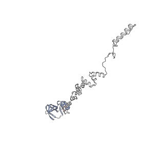 4655_6qvk_7s_v1-0
The cryo-EM structure of bacteriophage phi29 prohead