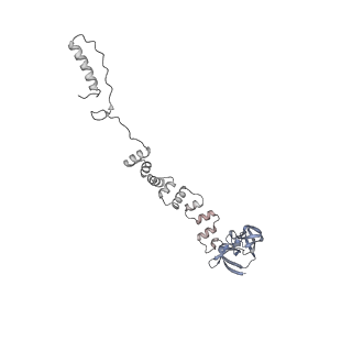 4655_6qvk_7w_v1-0
The cryo-EM structure of bacteriophage phi29 prohead