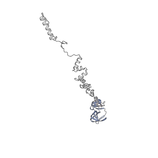 4655_6qvk_7x_v1-0
The cryo-EM structure of bacteriophage phi29 prohead
