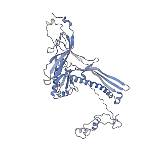 4655_6qvk_8A_v1-0
The cryo-EM structure of bacteriophage phi29 prohead