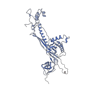 4655_6qvk_8D_v1-0
The cryo-EM structure of bacteriophage phi29 prohead