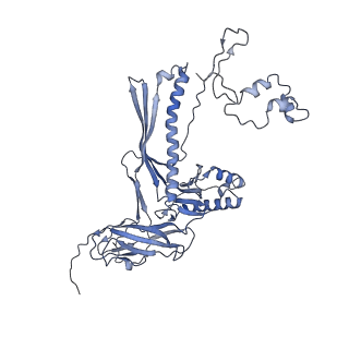 4655_6qvk_8H_v1-0
The cryo-EM structure of bacteriophage phi29 prohead