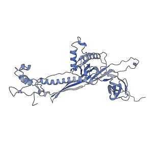 4655_6qvk_8J_v1-0
The cryo-EM structure of bacteriophage phi29 prohead