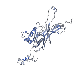 4655_6qvk_8K_v1-0
The cryo-EM structure of bacteriophage phi29 prohead