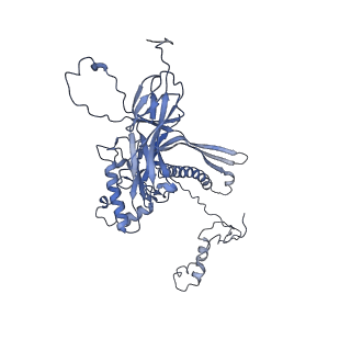4655_6qvk_8L_v1-0
The cryo-EM structure of bacteriophage phi29 prohead
