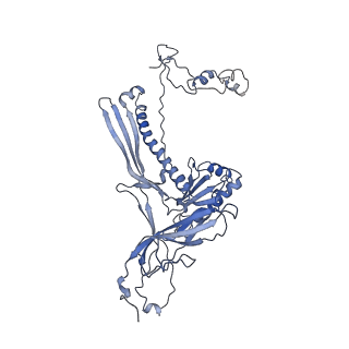 4655_6qvk_8M_v1-0
The cryo-EM structure of bacteriophage phi29 prohead