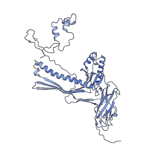 4655_6qvk_8N_v1-0
The cryo-EM structure of bacteriophage phi29 prohead