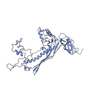 4655_6qvk_8O_v1-0
The cryo-EM structure of bacteriophage phi29 prohead