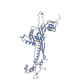 4655_6qvk_8P_v1-0
The cryo-EM structure of bacteriophage phi29 prohead