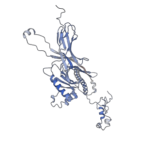 4655_6qvk_8Q_v1-0
The cryo-EM structure of bacteriophage phi29 prohead