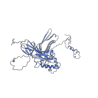 4655_6qvk_8R_v1-0
The cryo-EM structure of bacteriophage phi29 prohead