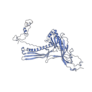 4655_6qvk_8S_v1-0
The cryo-EM structure of bacteriophage phi29 prohead