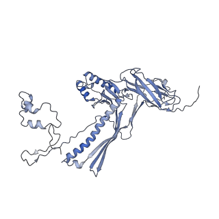 4655_6qvk_8T_v1-0
The cryo-EM structure of bacteriophage phi29 prohead