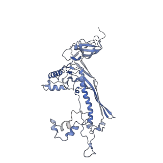 4655_6qvk_8U_v1-0
The cryo-EM structure of bacteriophage phi29 prohead