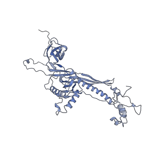 4655_6qvk_8V_v1-0
The cryo-EM structure of bacteriophage phi29 prohead