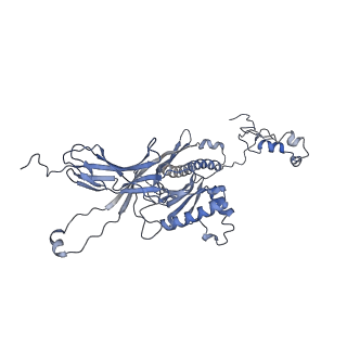 4655_6qvk_8W_v1-0
The cryo-EM structure of bacteriophage phi29 prohead