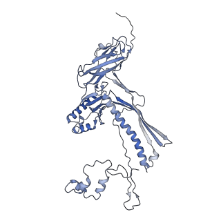 4655_6qvk_8Z_v1-0
The cryo-EM structure of bacteriophage phi29 prohead
