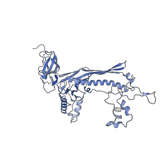 4655_6qvk_8a_v1-0
The cryo-EM structure of bacteriophage phi29 prohead