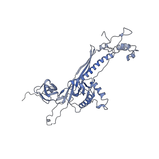 4655_6qvk_8b_v1-0
The cryo-EM structure of bacteriophage phi29 prohead