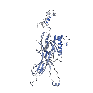 4655_6qvk_8c_v1-0
The cryo-EM structure of bacteriophage phi29 prohead