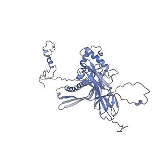 4655_6qvk_8d_v1-0
The cryo-EM structure of bacteriophage phi29 prohead