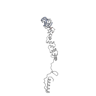 4655_6qvk_8h_v1-0
The cryo-EM structure of bacteriophage phi29 prohead