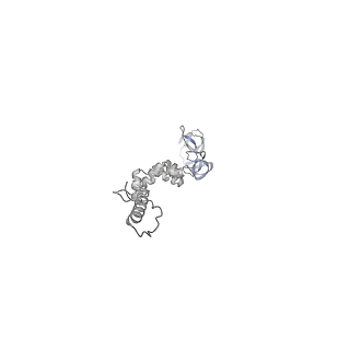 4655_6qvk_8k_v1-0
The cryo-EM structure of bacteriophage phi29 prohead