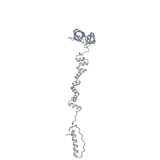 4655_6qvk_8l_v1-0
The cryo-EM structure of bacteriophage phi29 prohead