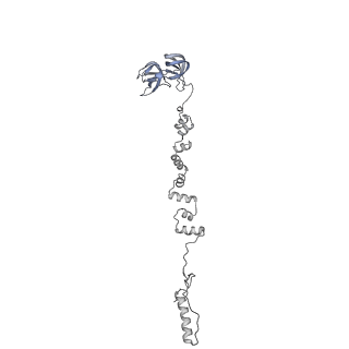 4655_6qvk_8p_v1-0
The cryo-EM structure of bacteriophage phi29 prohead