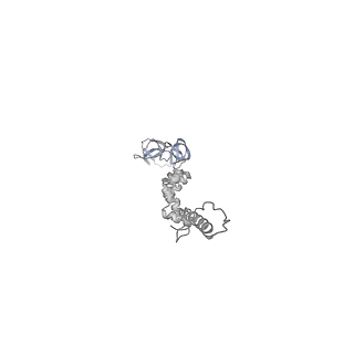 4655_6qvk_8q_v1-0
The cryo-EM structure of bacteriophage phi29 prohead