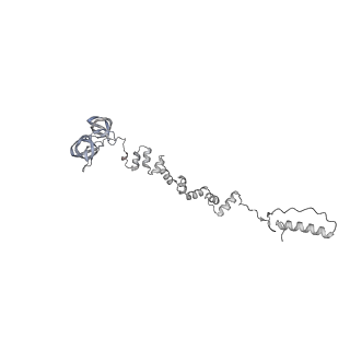 4655_6qvk_8r_v1-0
The cryo-EM structure of bacteriophage phi29 prohead