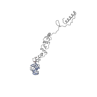 4655_6qvk_8t_v1-0
The cryo-EM structure of bacteriophage phi29 prohead