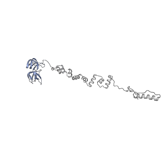 4655_6qvk_8v_v1-0
The cryo-EM structure of bacteriophage phi29 prohead